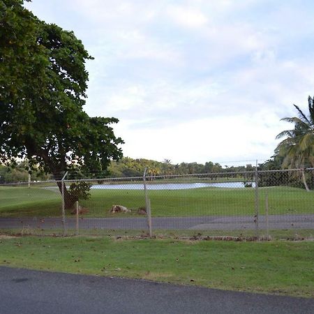 Beach Front Apartment Rio Mar Puerto Rico Rio Grande Exterior photo