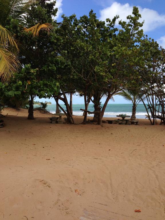 Beach Front Apartment Rio Mar Puerto Rico Rio Grande Exterior photo