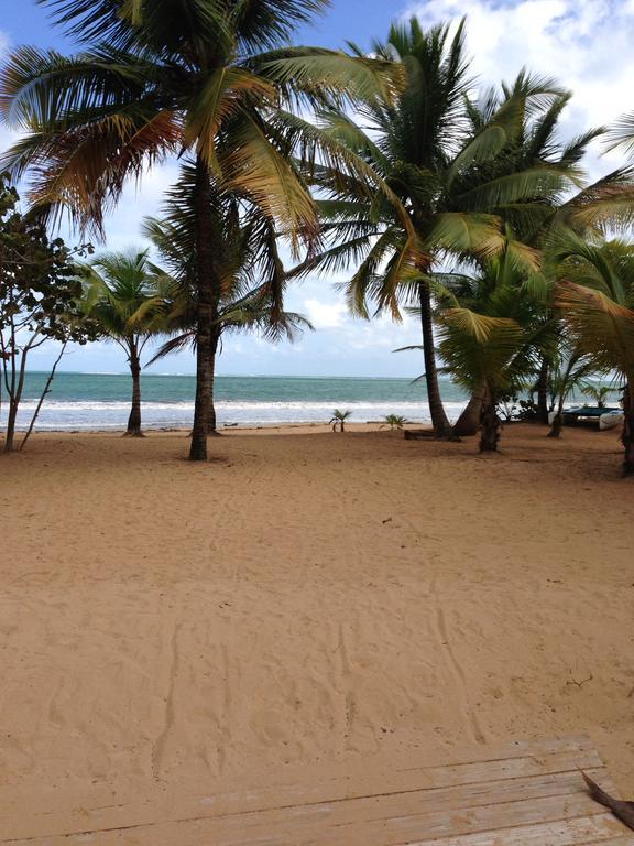 Beach Front Apartment Rio Mar Puerto Rico Rio Grande Exterior photo